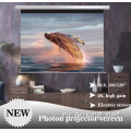 Фотон экрана Home Cinema Electric Projector Screen